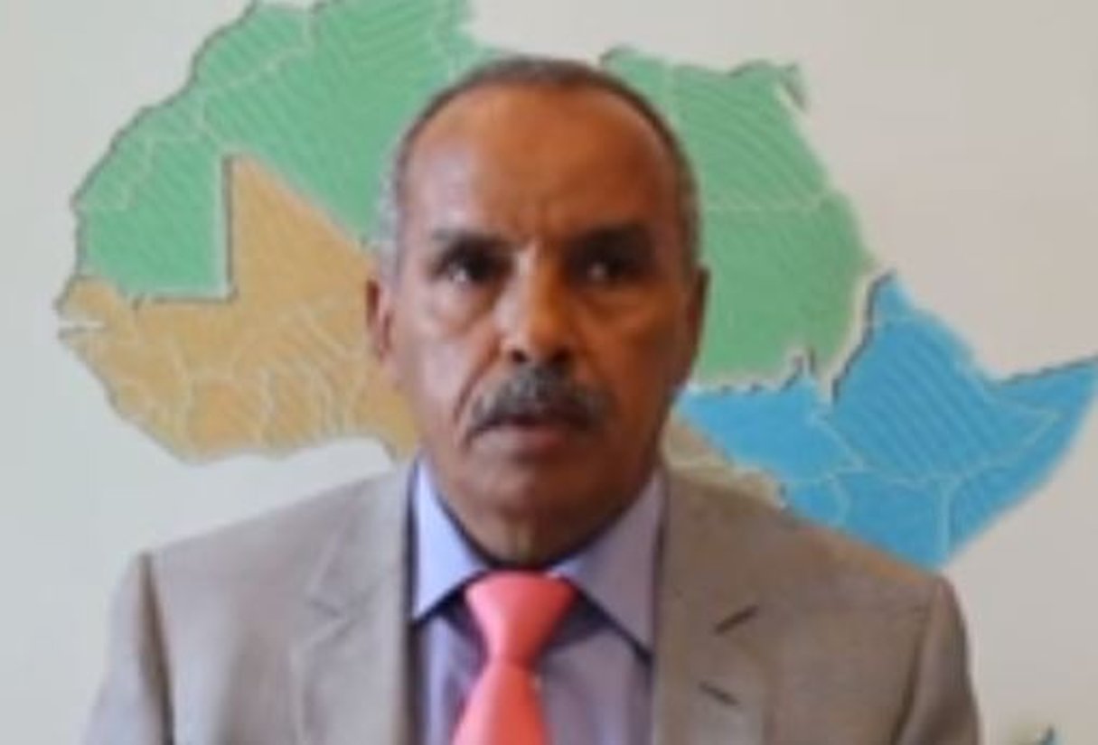 Cheikh Ould Baya, le nouveau président de l’Assemblée nationale mauritanienne. © Capture écran/YouTube/
CGLUAfrique-UCLGAfrica