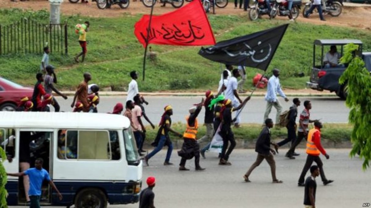 Des membres du Mouvement islamique du Nigeria (IMN) agitent des drapeaux lors d’une manifestation pour protester contre l’emprisonnement d’un chiite à Abuja, le 29 octobre 2018. © AFP