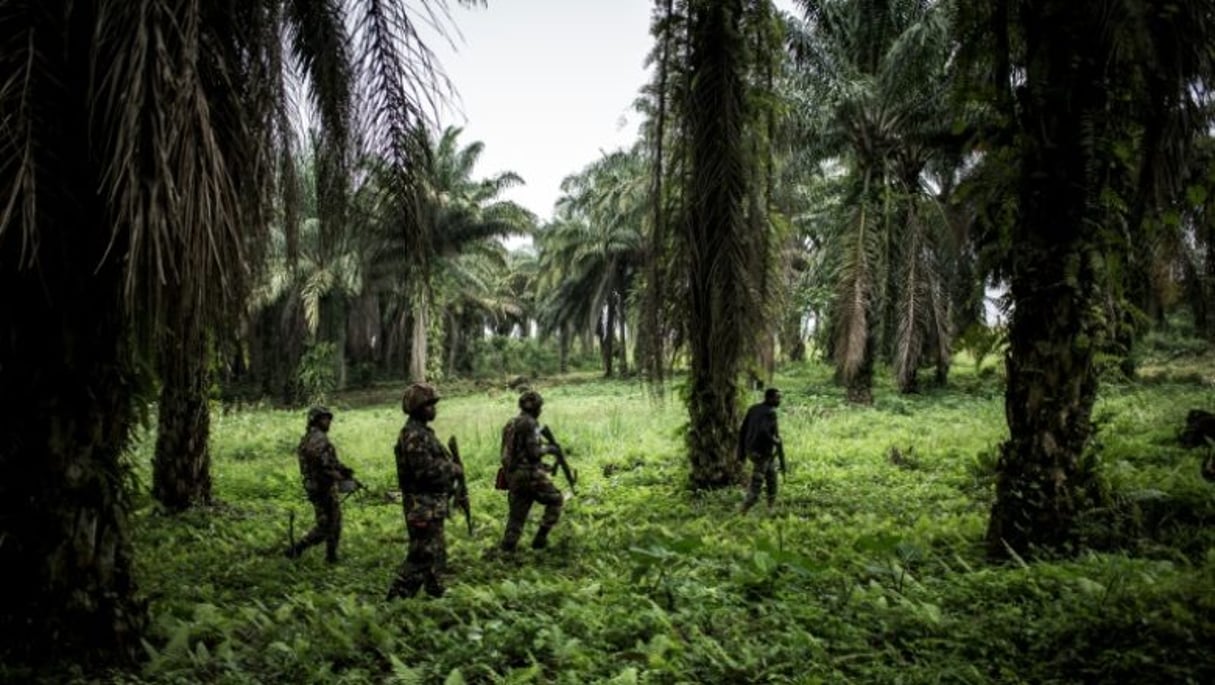 Opération militaire conjointe contre les rebelles ougandais des ADF. © AFP