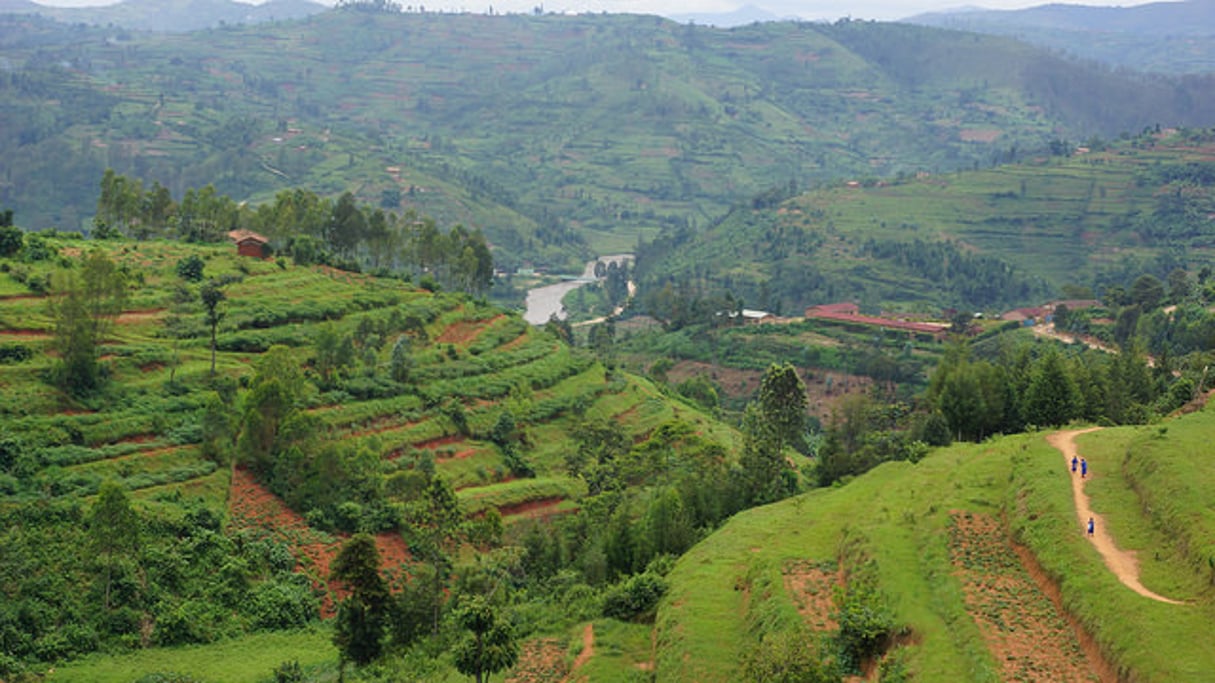 Les collines de Nyabarongo, au Rwanda (Illustration) © Creative Commons / Flickr