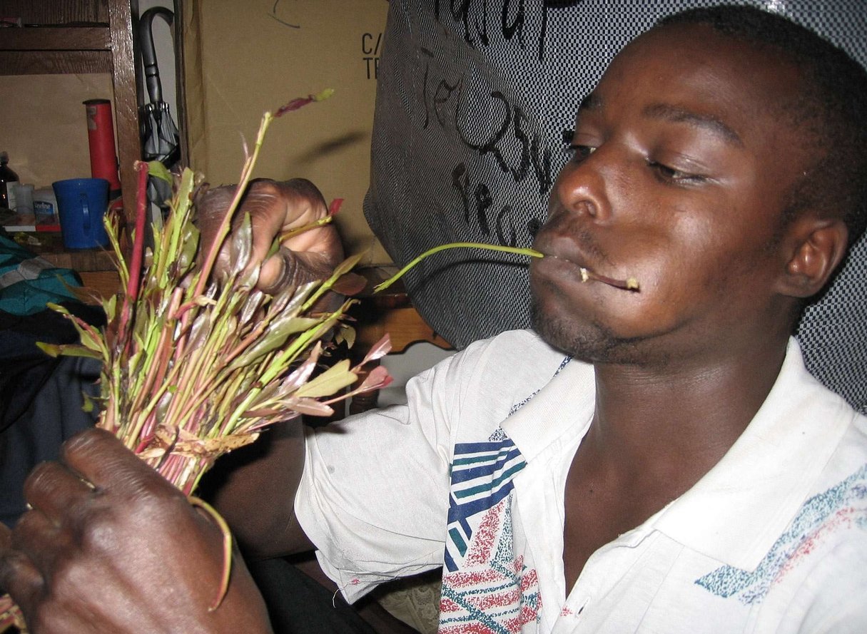 Un jeune kényan mâchant du khat à Nairobi. &copy; SAYYID AZIM/AP/SIPA