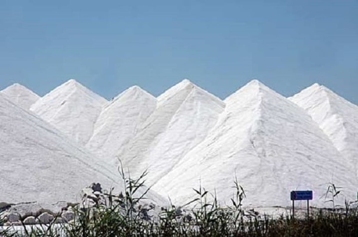 Exploitation de sel en Tunisie : après la non reconduction de sa ...