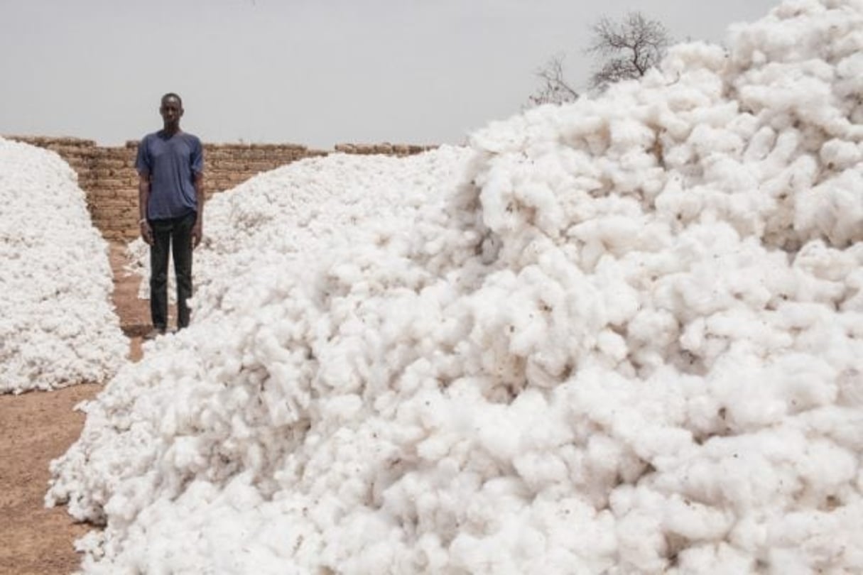 Un producteur de coton, au Burkina Faso © Théo Renaut pour J.A.