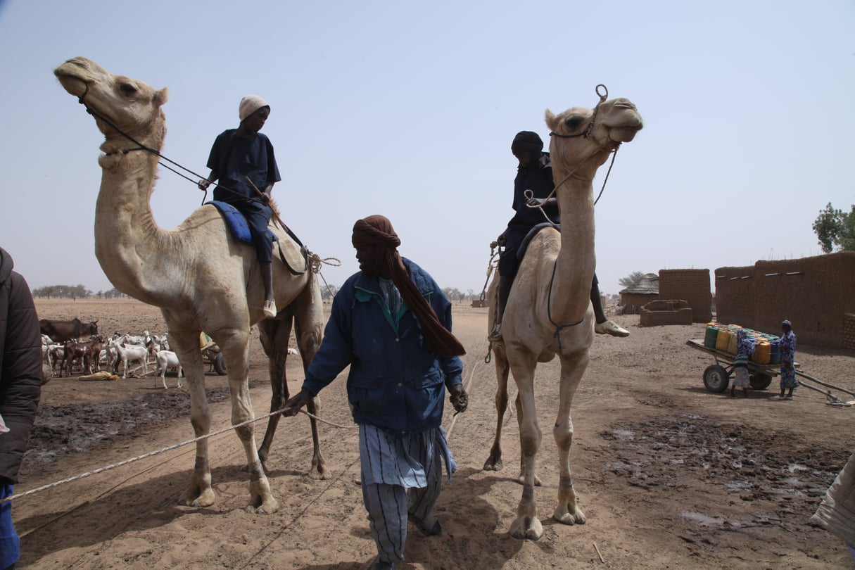 Dans le village peul de Yourou, dans le cercle de Koro, au Mali. © Baba Ahmed pour Jeune Afrique