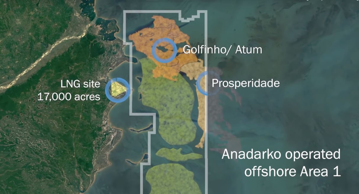 Les réserves de gaz, situées à 40 km des côtes mozambicaines, ont été découvertes en 2010 par Anadarko et ses partenaires. © Anadarko (capture d’écran)