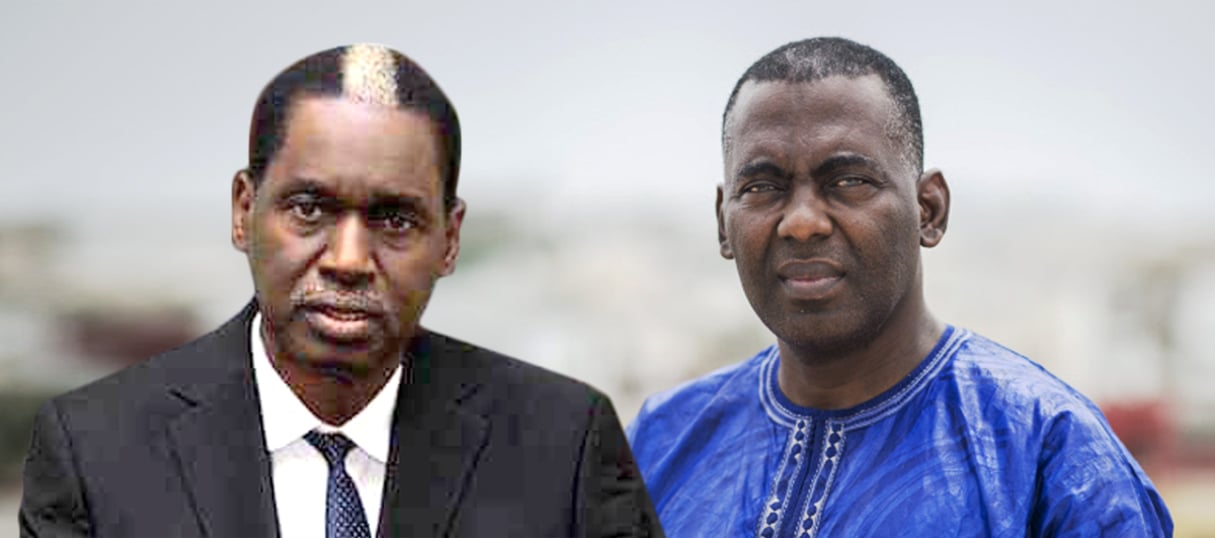 Kane Hamidou Baba et Biram Dah Abeid. © DR et et Sylvain Cherkaoui pour JA