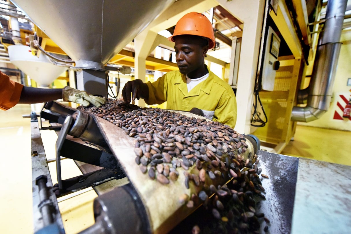Le pays produit à lui seul 45 % du cacao mondial. &copy; SIA /AFP