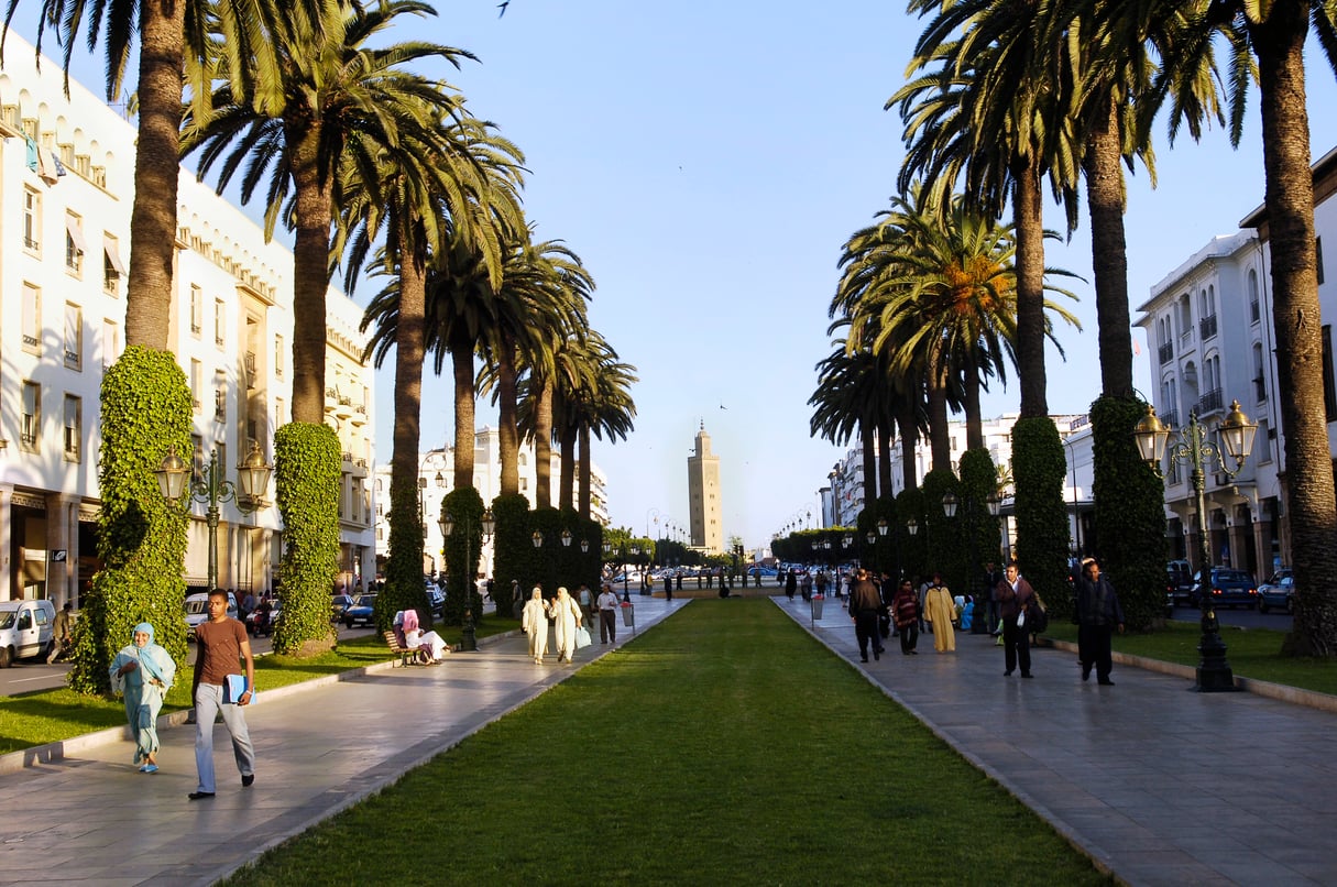 L’avenue Mohammed-V, à Rabat. En 2010, la capitale, qui compte plus de 230 hectares arborés, a été proclamée « ville verte » lors de la Journée de la Terre. &copy; Vincent Fourier/JA