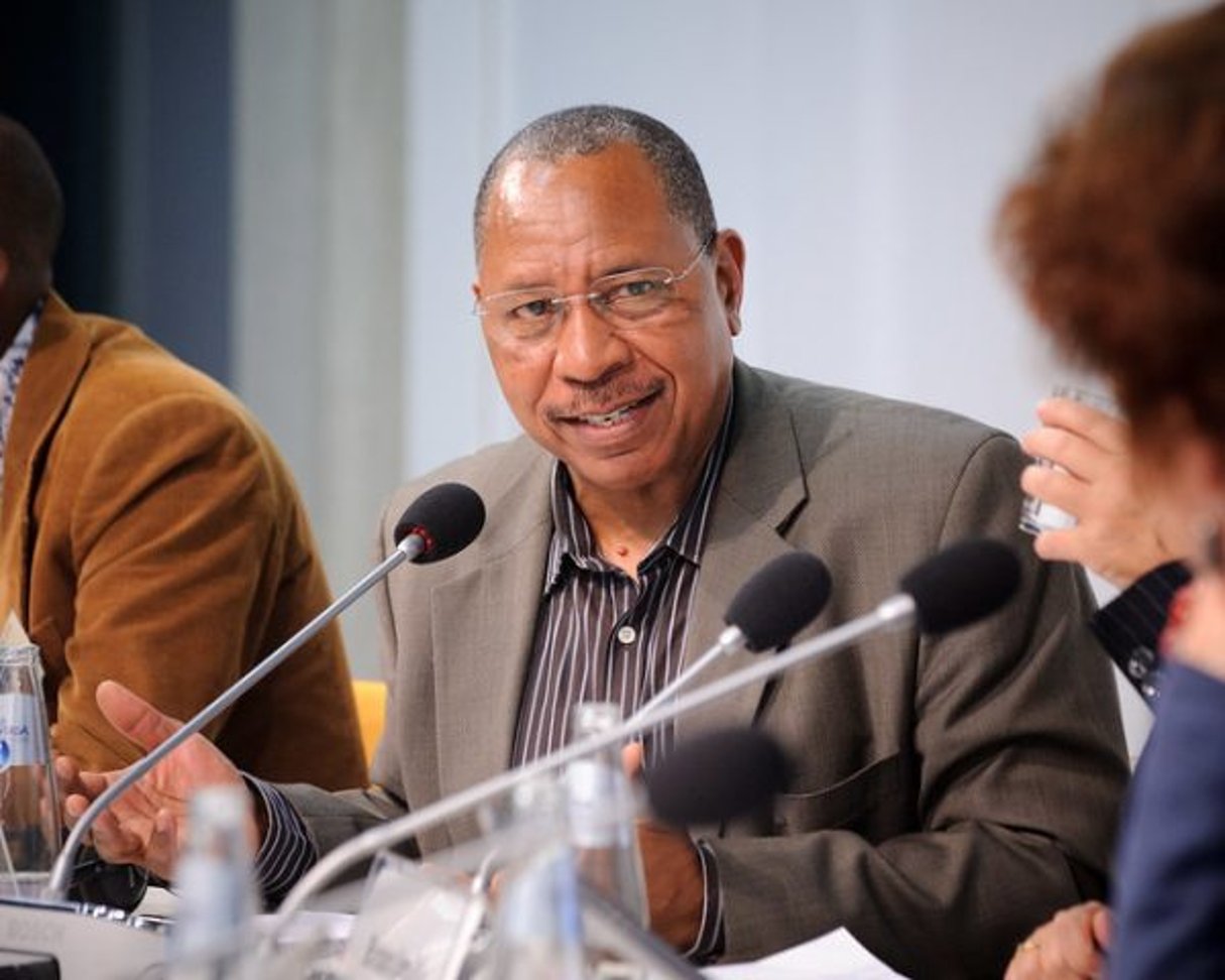 Youba Sokona, Vice-président du Giec, est depuis des décennies un ardent adepte de la lutte contre le changement climatique, notamment en Afrique. © Heinrich-Böll-Stiftung/CC/Flickr