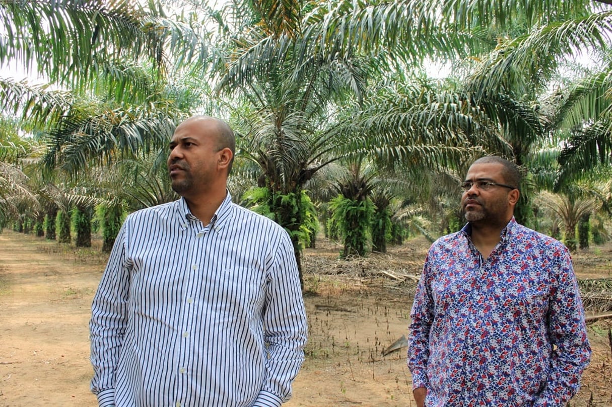 Michel et Arnaud Djombo