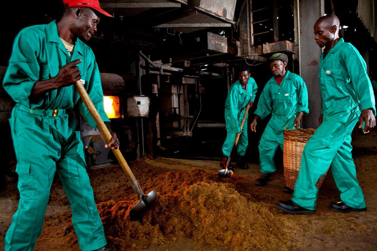 Dans une usine d’huile de palme. © Kris Pannecoucke/PANOS-REA