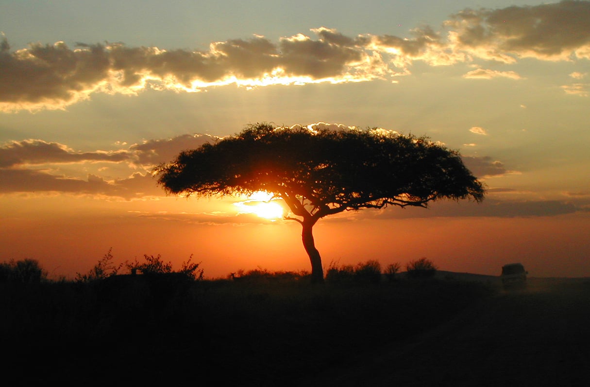 Coucher de soleil dans la réserve nationale du Masai Mara, dans le sud-ouest du Kenya. © Angela Sevin / Flickr
