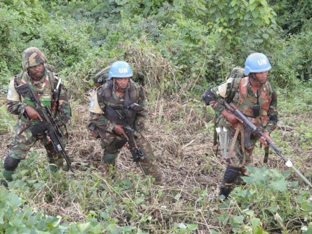 Les FARDC et la Monusco mènent des activités militaires dans le Nord Kivu pour lutter contre  les Forces démocratiques alliées (ADF) © MONUSCO