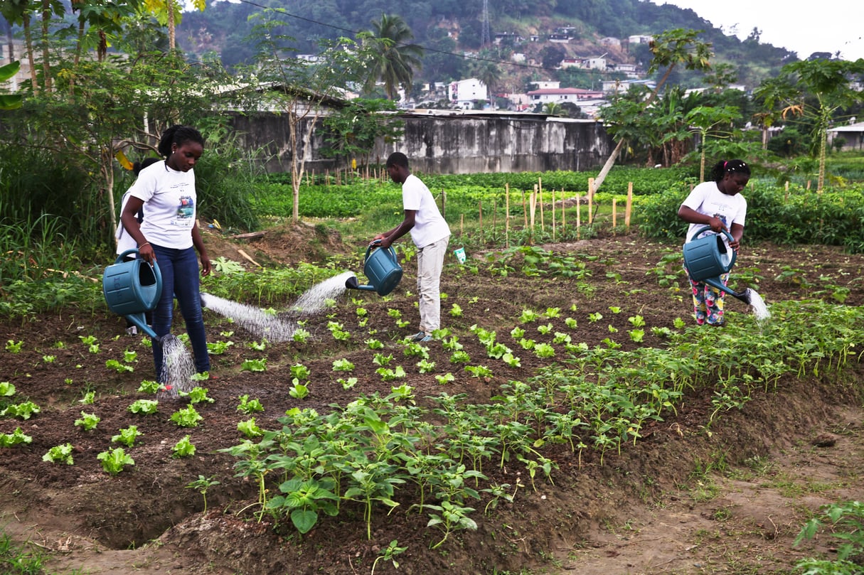 À Libreville, à la fin d’août. Sensibilisation d’étudiants au maraîchage et au potentiel des filières agricoles. &copy; Steve JORDAN / AFP