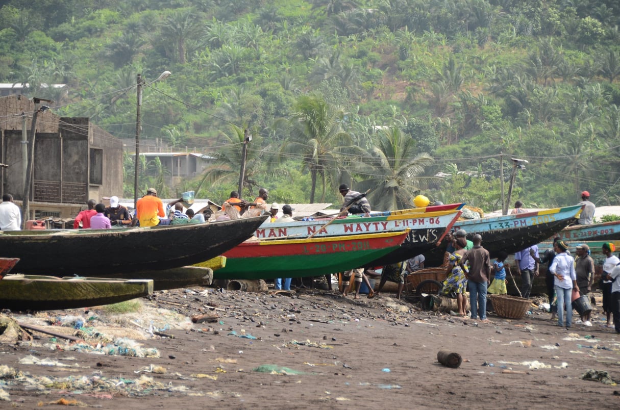 Les embarcations légères du port de Limbé, au Cameroun © Claudine Paul Jouët (CC)
