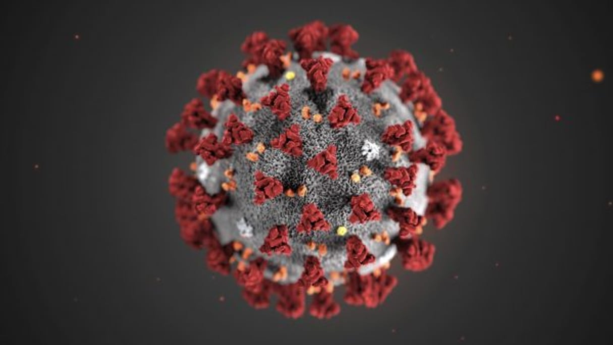 January 31, 2020: This illustration reveals ultrastructural morphology exhibited by the 2019 Novel Coronavirus (2019-nCoV). Note the spikes that adorn the outer surface of the virus, which impart the look of a corona surrounding the virion, when viewed electron microscopically. This virus was identified as the cause of an outbreak of respiratory illness first detected in Wuhan, China. The illustration was created at the Centers for Disease Control and Prevention (CDC)..When: 31 Jan 2020.Credit: CDCCover Images..**Editorial use only* (Credit Image: Â© COVER Images via ZUMA Press)  odd oddity science tech technology health virus disease flu pandemic outbreak China Chinese ….. © Cover Images/ZUMA/REA