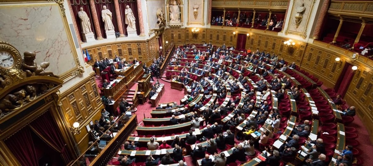 Un rapporteur spécial du Sénat français conduit des auditions sur la réforme du franc CFA. © Senat.fr