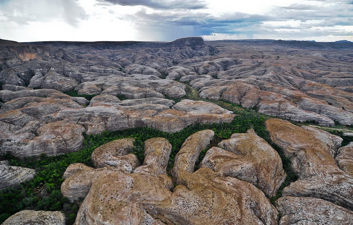 Forêt marécageuse d’Ampasimaiky dans un de canyons du massif du Makay Evrard Wendenbaum – Naturevolution

© Evrard Wendenbaum/Naturevolution