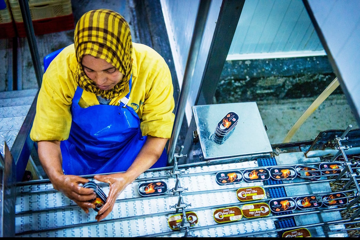 La conserverie d’anchois marocaine Unimer de Mehdia (région de Kénitra). © Hassan Ouazzani pour JA