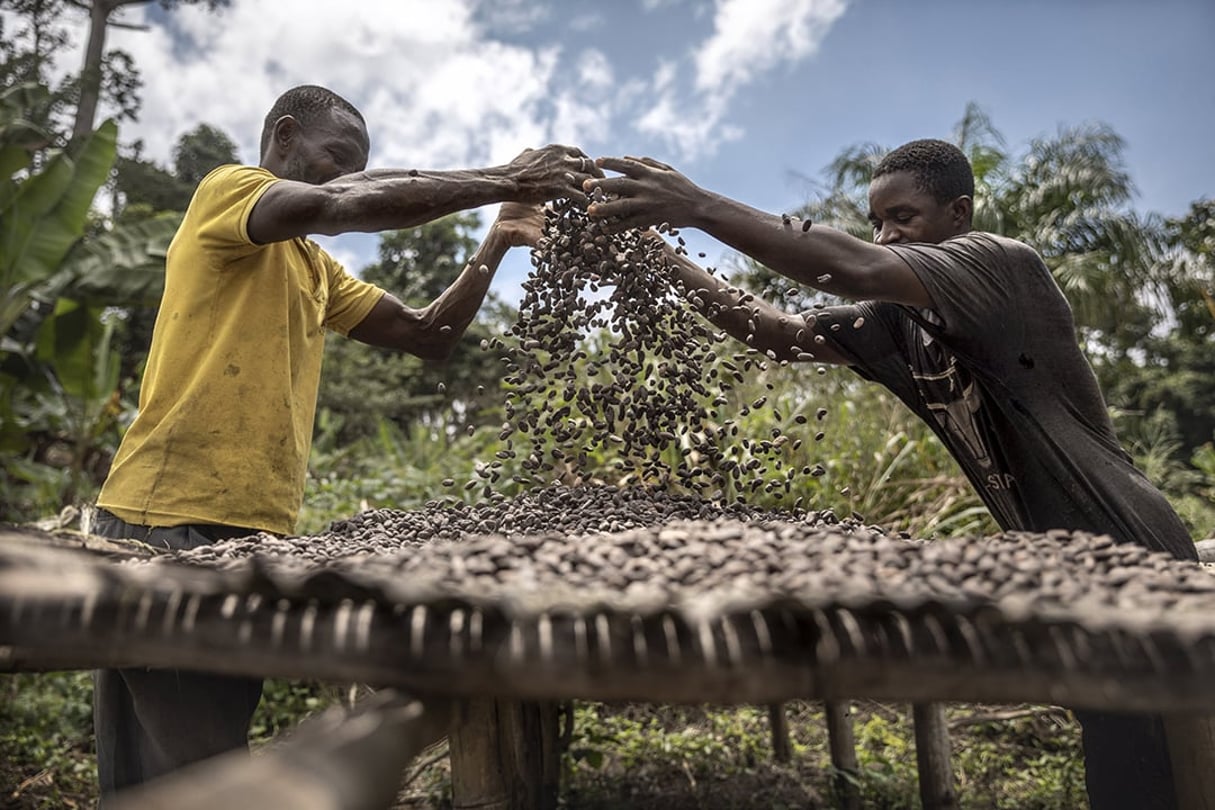 Un cacaoculteur au Ghana. © Sven Torfinn/PANOS-REA