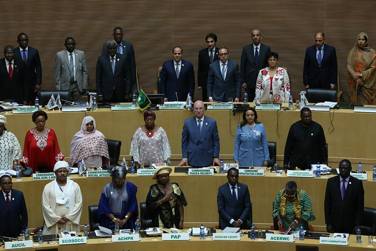 Le traité portant création de l’Agence africaine du médicament (AMA) a été adopté en février 2019 sous l’égide de l’Union africaine (UA) © Minasse Wondimu Hailu / Anadolu Agency/AFP