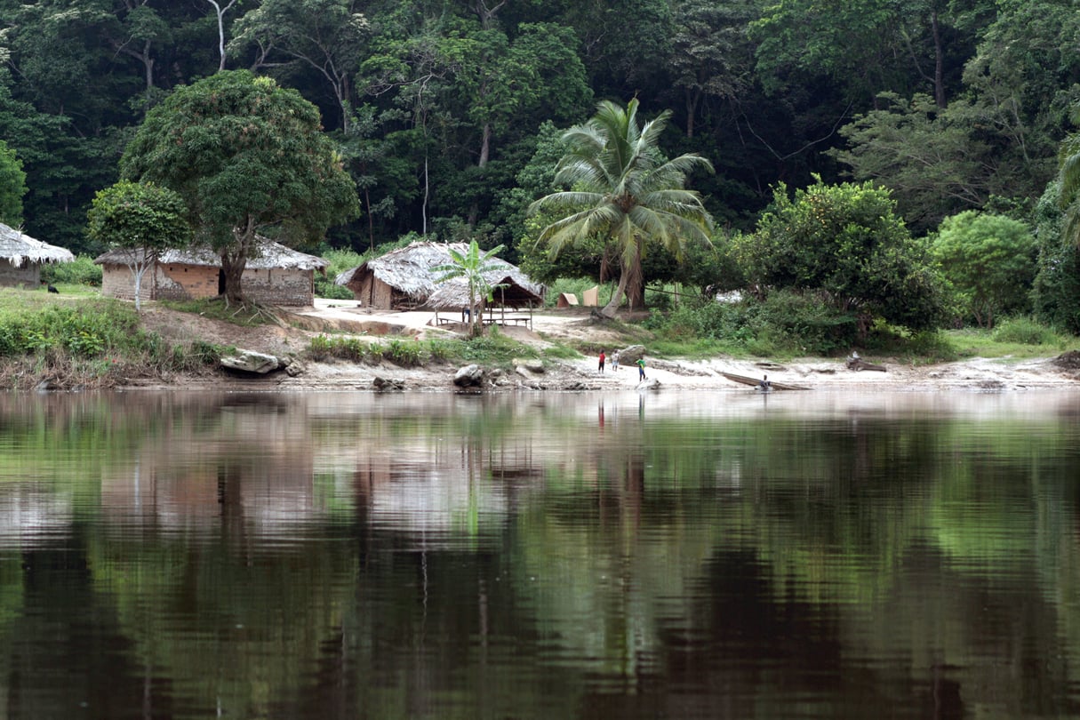 Tribune] Gabon : donner sa vraie valeur à la forêt équatoriale