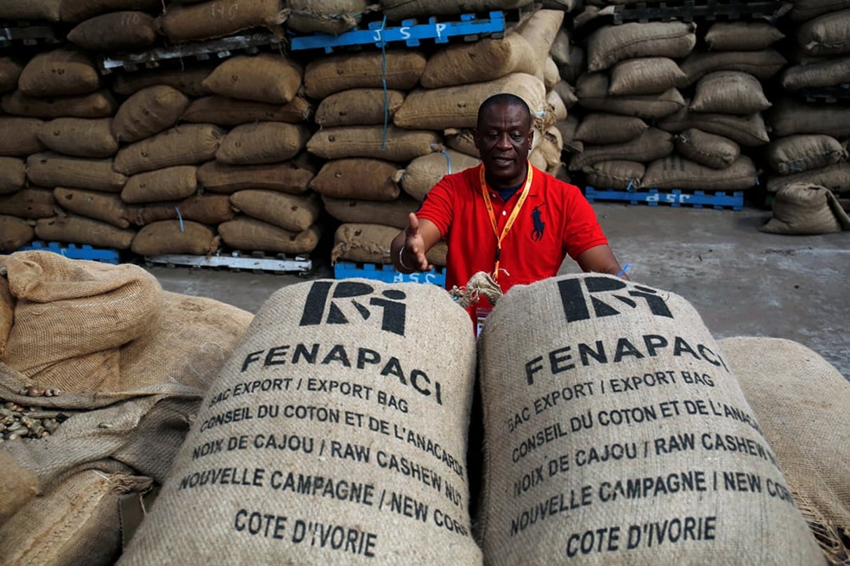 Adama Bamba, président de la Fenapaci, une association de producteurs de noix de cajou, à Abidjan. © Luc Gnago/REUTERS