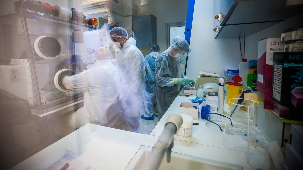 Dépistage du coronavirus à l’Institut Pasteur de Tunis, en avril 2020 © Ons Abid