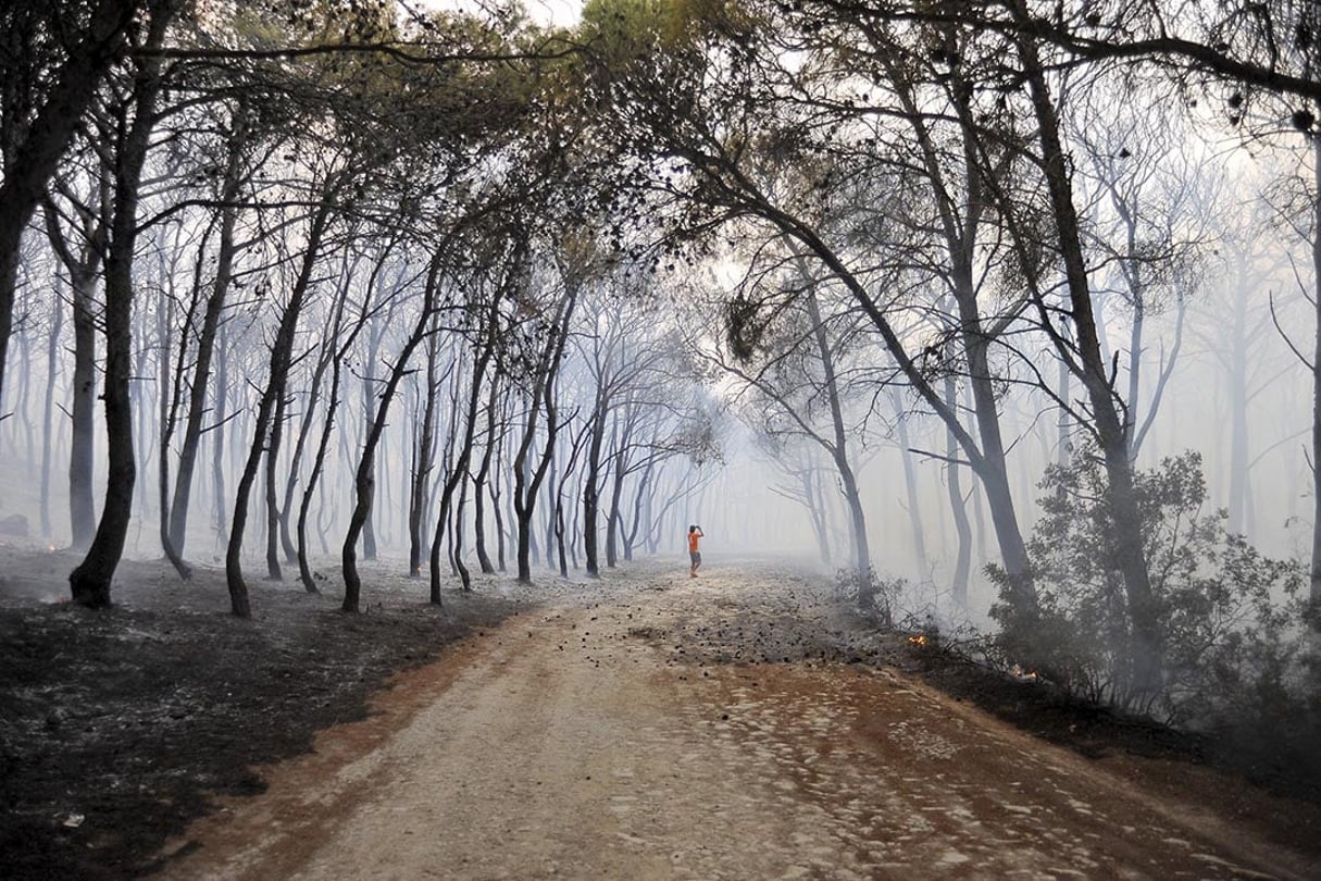 Le mont Nadhour, près de Bizerte, ravagé par les flammes, le 10 août 2021. © Chokri Mahjoub/ZUMA Press Wire/REA