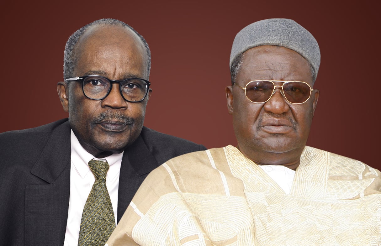 Casimir Oyé Mba et le Roi des Bamouns, Ibrahim Mbombo Njoya © Montage  JA : Vincent Fournier/JA ; imageBROKER / Alamy Stock Photo