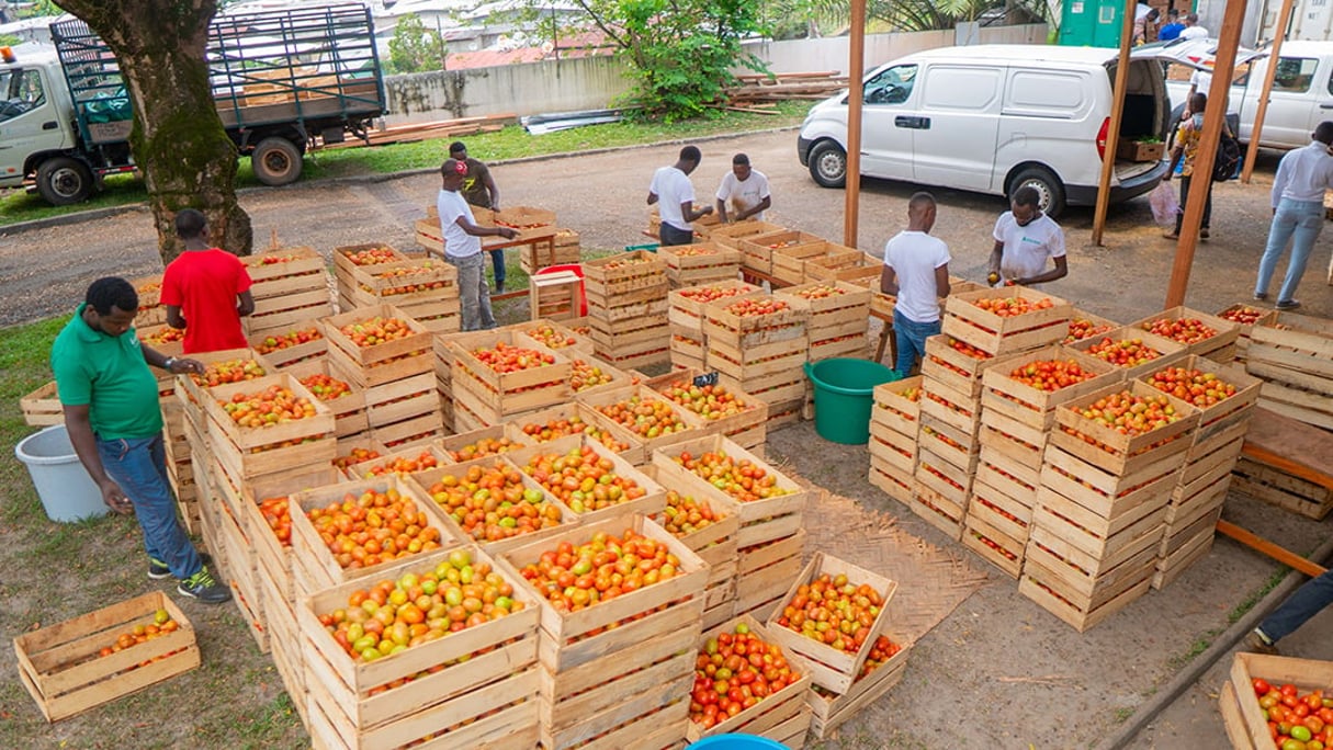 Déchargement de fruits et légumes à l’arrière du bâtiment abritant le siège La clé des champs, à Libreville. © La Clé des champs