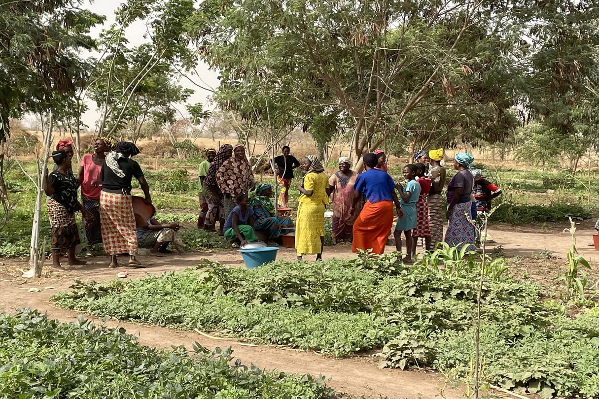 Projet « les jardins des femmes » de l’association ICD à Tambacounda au Sénégal, 13 mars 2022. &copy; ICD-Afrique