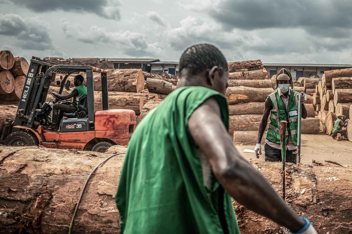 Grumes d’Okoumé à l’usine StarPly, spécialisée dans la production de contreplaqué, dans la zone industrielle de Nkok, à Libreville, au Gabon, en août 2022. © Arlette Bashizi/The New York Times/REA