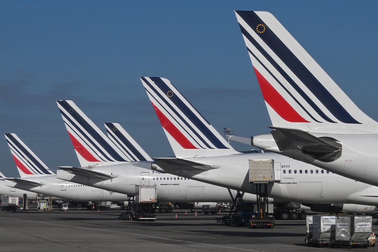 Avions d’Air France, à Paris-Charles-de-Gaulle.
