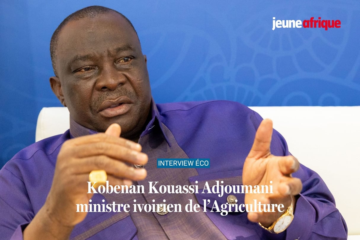 Interview de Kobenan Kouassi Adjoumani, ministre de l’Agriculture et du Développement rural sur le stand de la Côte d’Ivoire, au Salon de l’agriculture, le 1er mars 2024. © Yves Forestier pour JA / Photomontage : JA