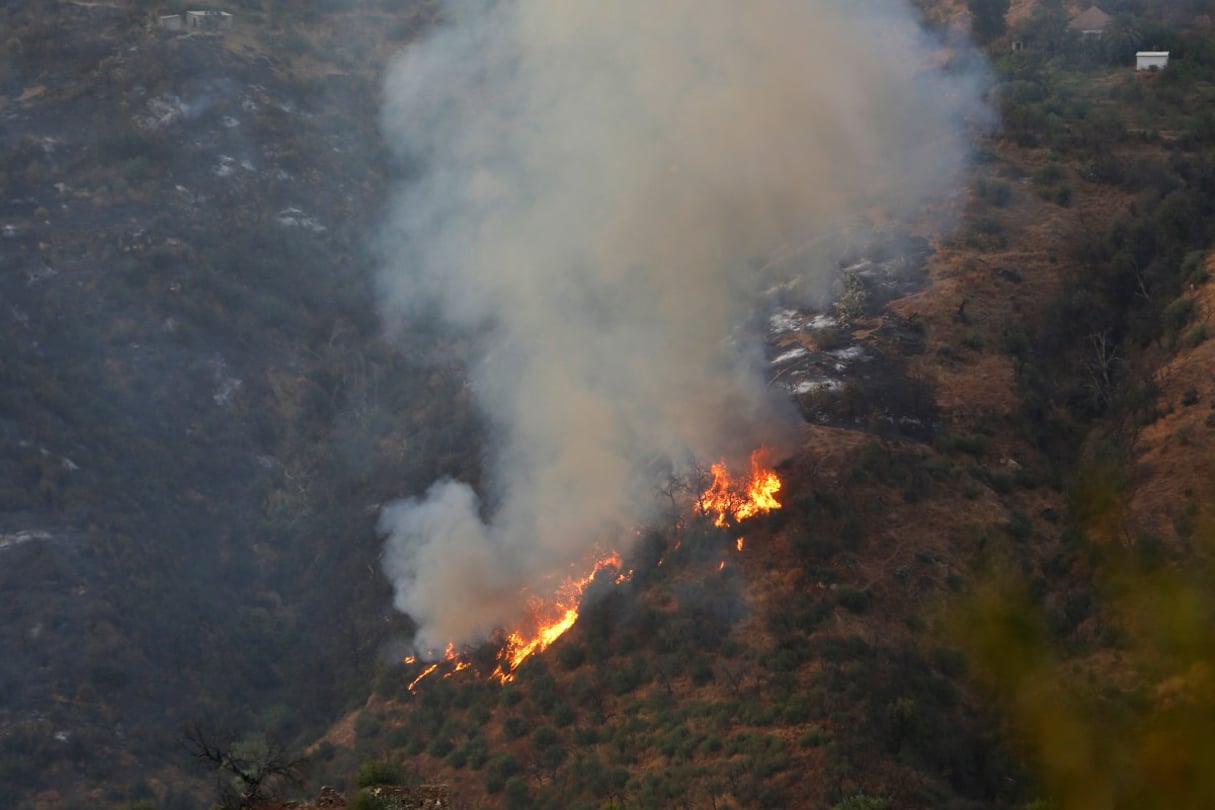 Incendie à Tizi-Ouzou, dans la région de Kabylie où vit la communauté amazighe, à environ 100 km à l’est de la capitale Alger, le 11 août 2024. © AFP