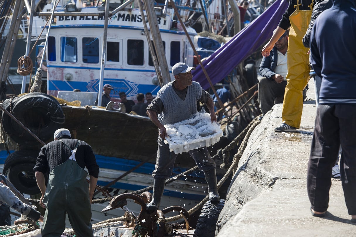 Des pêcheurs déchargent des caisses de poissons de leur bateau dans le port de Laâyoune, en 2018. &copy; FADEL SENNA / AFP