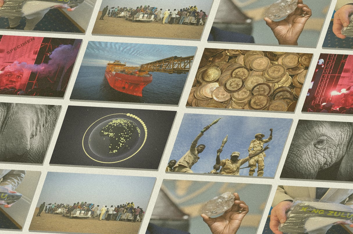 Bitcoin, Soudan, météorites, biodiversité… 2024 en 10 infographies