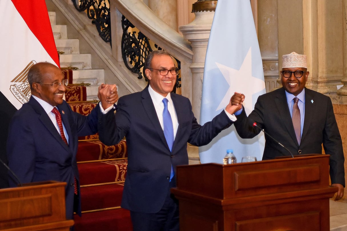 Badr Abdelatty, the Egyptian Foreign Minister (center), alongside his Eritrean counterpart Osman Saleh Mohamed (left) and Somali counterpart Ahmed Moalim Fiqi (who later became Defense Minister), in Cairo, January 11, 2025. © Egyptian Foreign Ministry / AFP