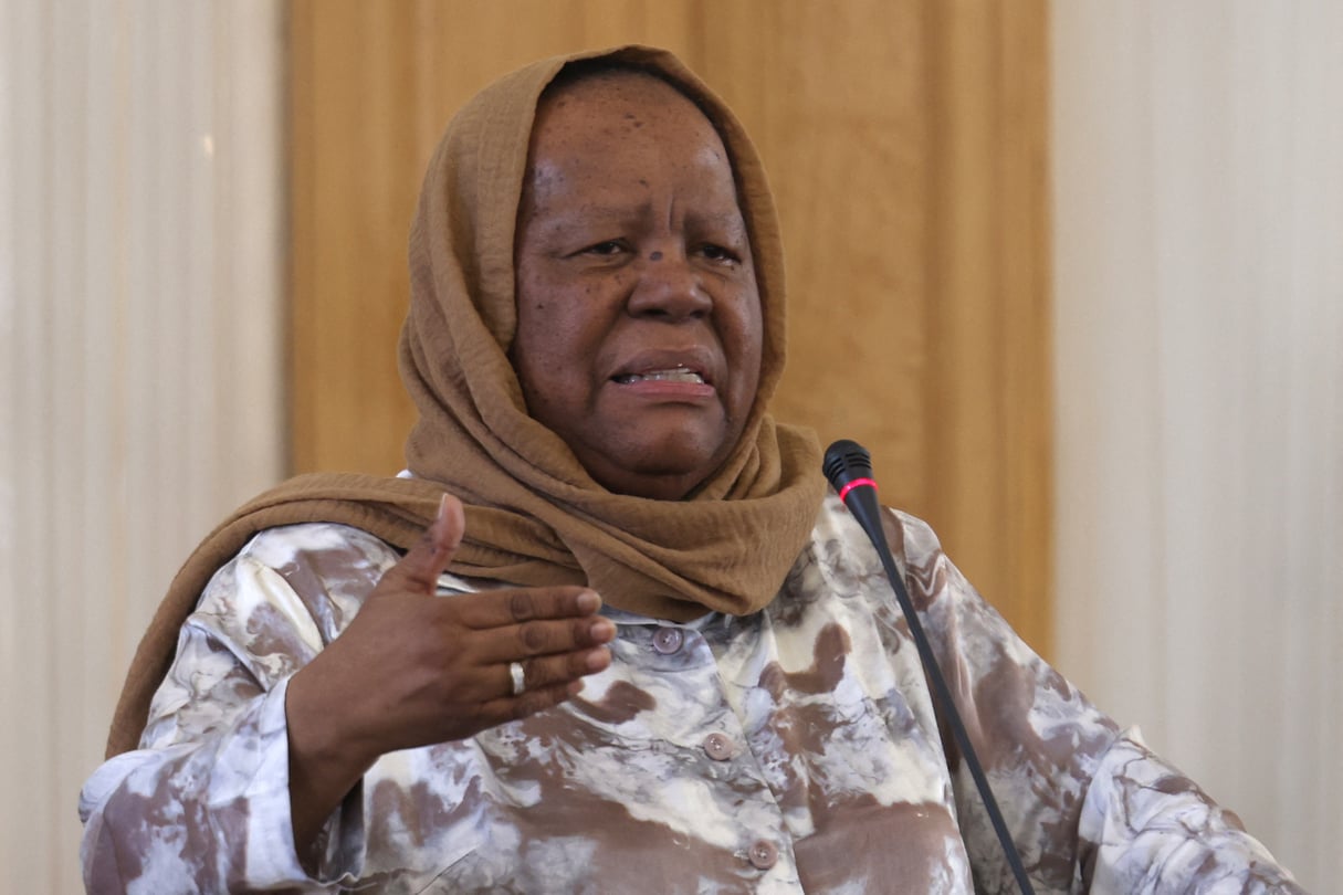 La ministe sud-africaine des Affaires étrangères, Naledi Pandor, à Téhéran, en Iran, le 22 octobre 2023. © ATTA KENARE / AFP
