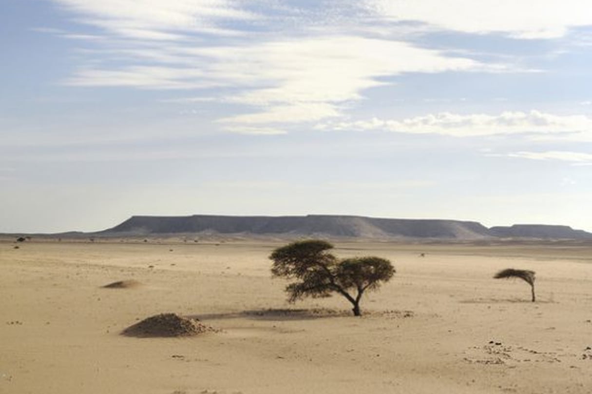 Le désert du Sahara. © Vincent Fournier pour J.A.
