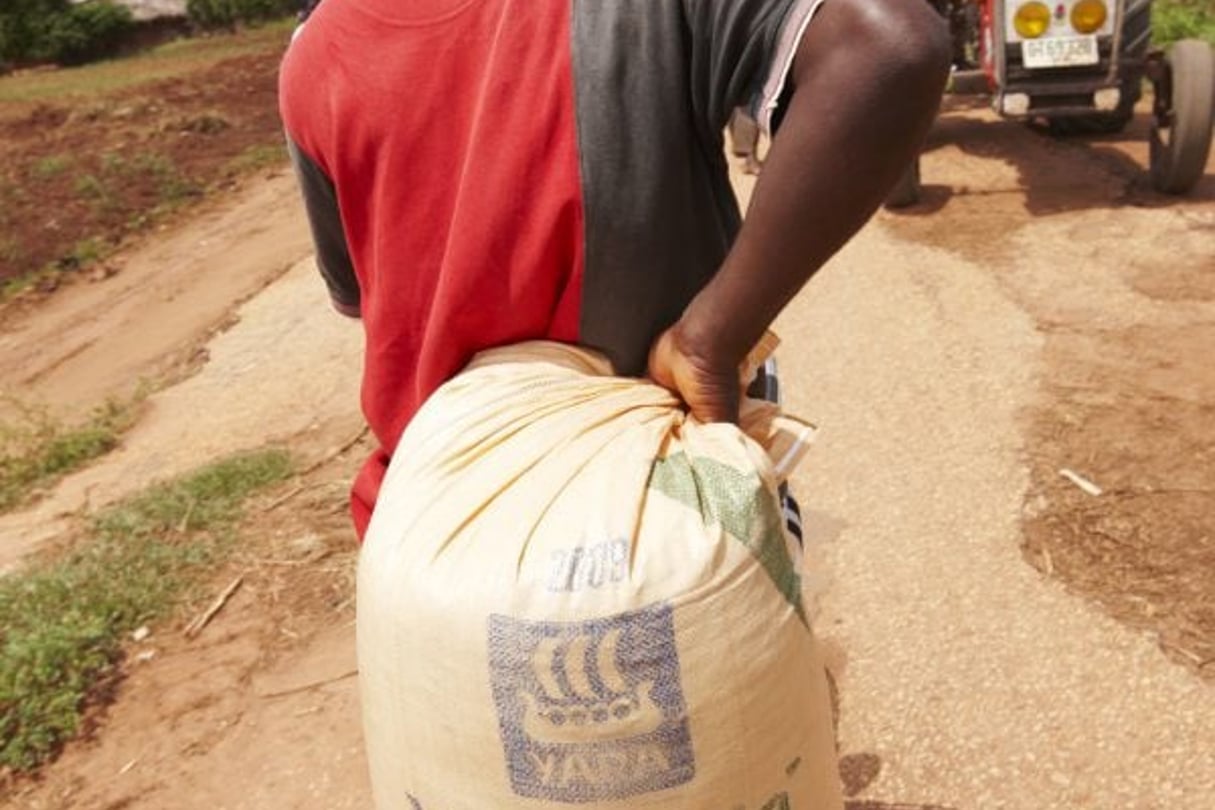 Le fabricant a réalisé sa percée via de grands marchés, comme le Ghana. © Ole Walter Jacobsen/Yara International