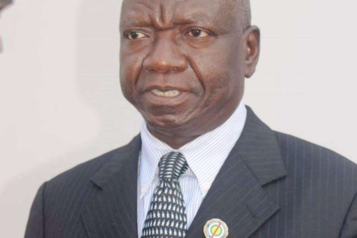 Laurent Ngon-Baba, député de Baboua, a été élu président de l’Assemblée nationale. © Creative Commons/Réseau des Journalistes pour les Droits de l’Homme