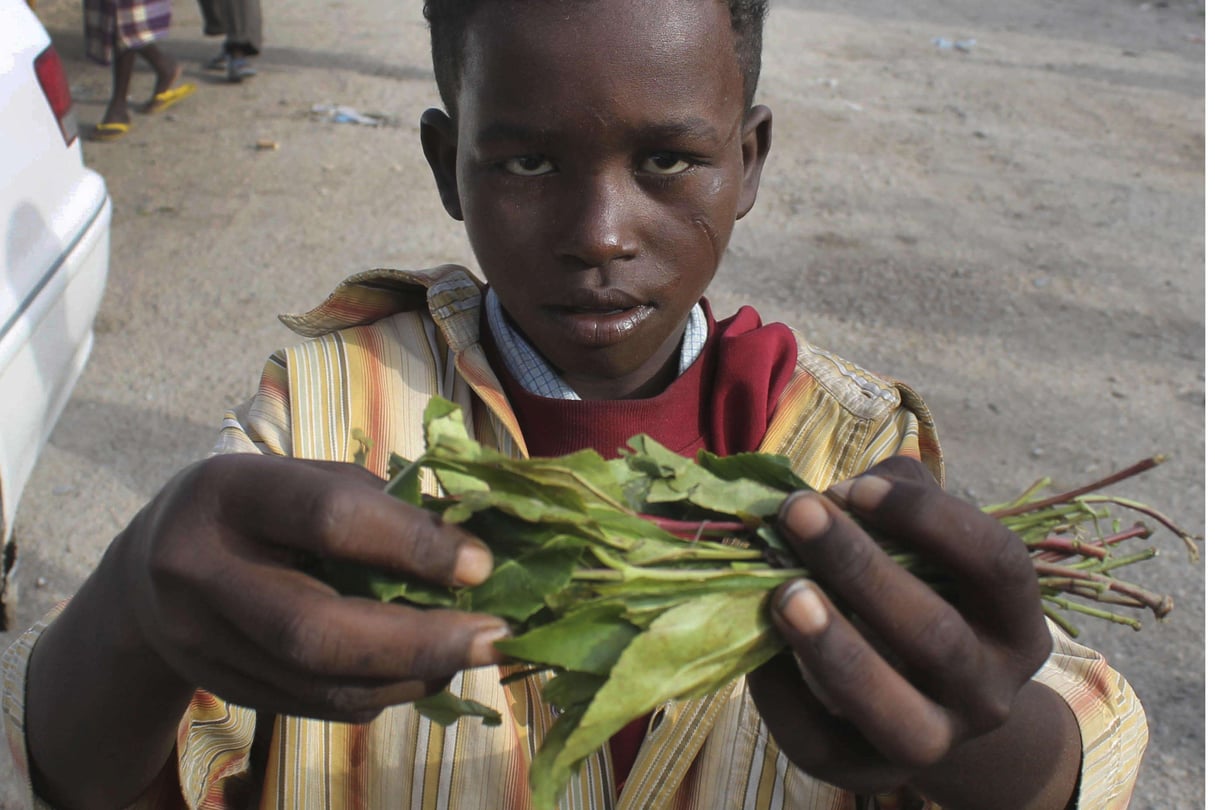 Un jeune somalien tente de vendre du khat ramassé dans une rue de son village. © Farah Abdi Warsameh/AP/SIPA