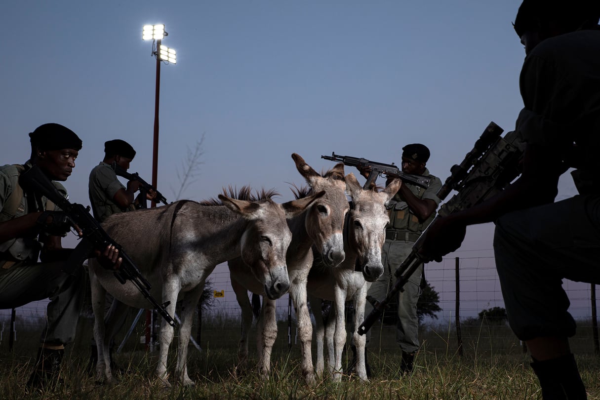 L’unité de protection des Cobras au Zimbabwe, en 2022. &copy; Aaron Gekoski