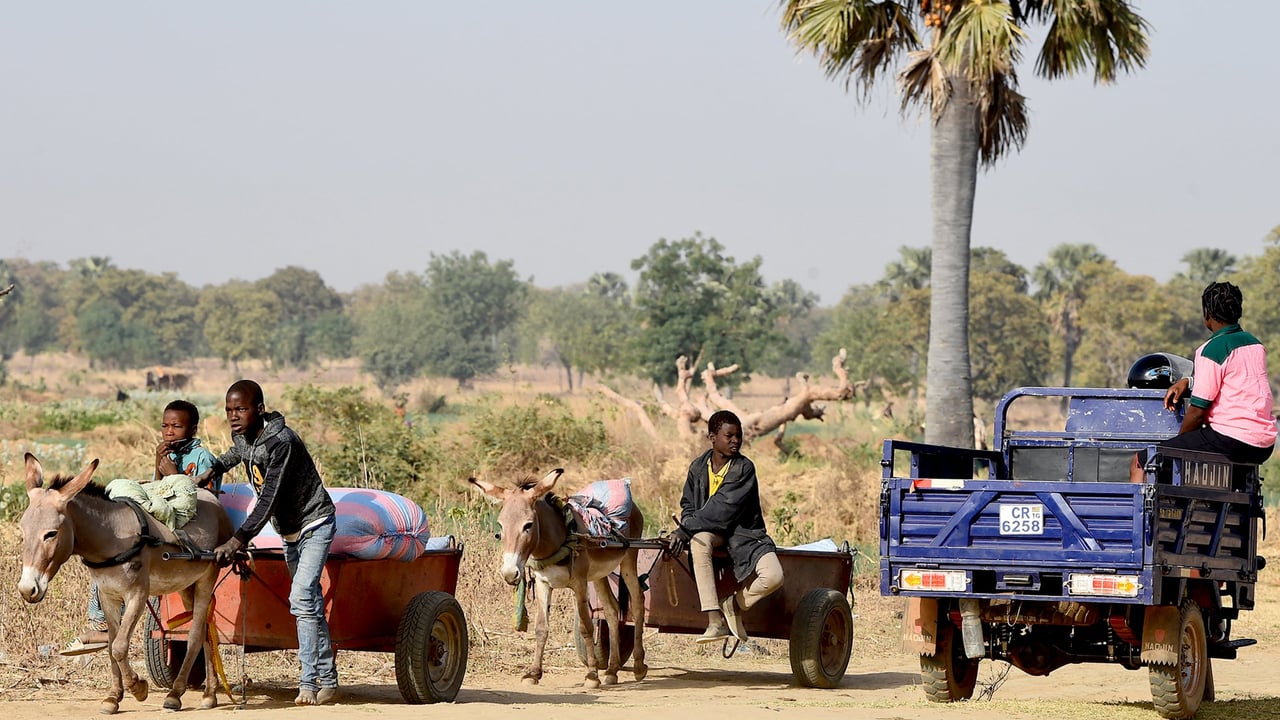 « On ne renvoie pas un étranger » : dans le nord du Togo, le défi de l’accueil des réfugiés burkinabè