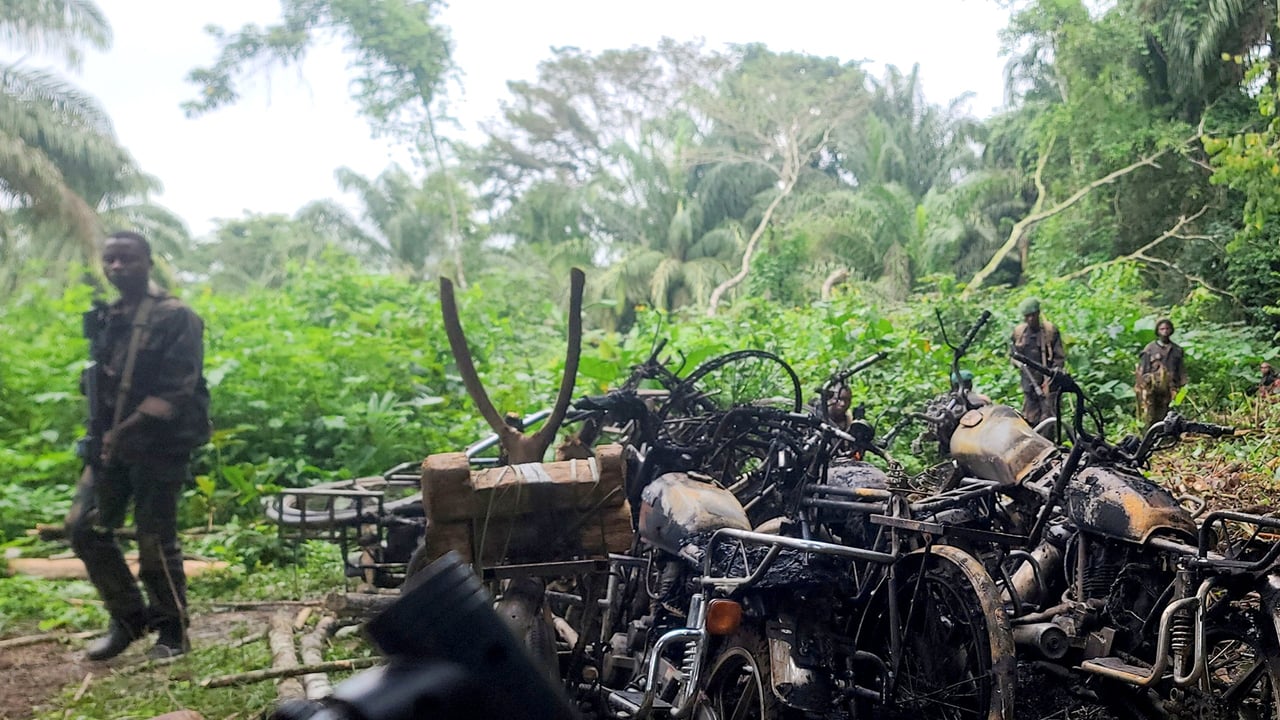 RDC : les rebelles ADF massacrent des agriculteurs en Ituri