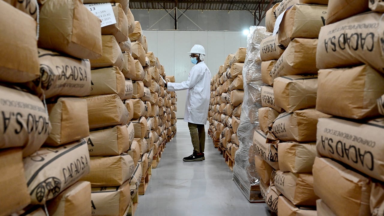 Côte d’Ivoire : pourquoi la filière cacao est sous pression