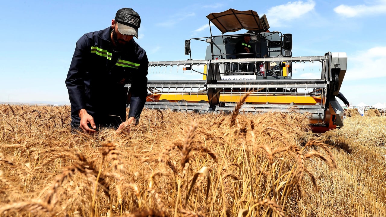 Sébastien Abis : « Le continent mène plusieurs révolutions agricoles de front »