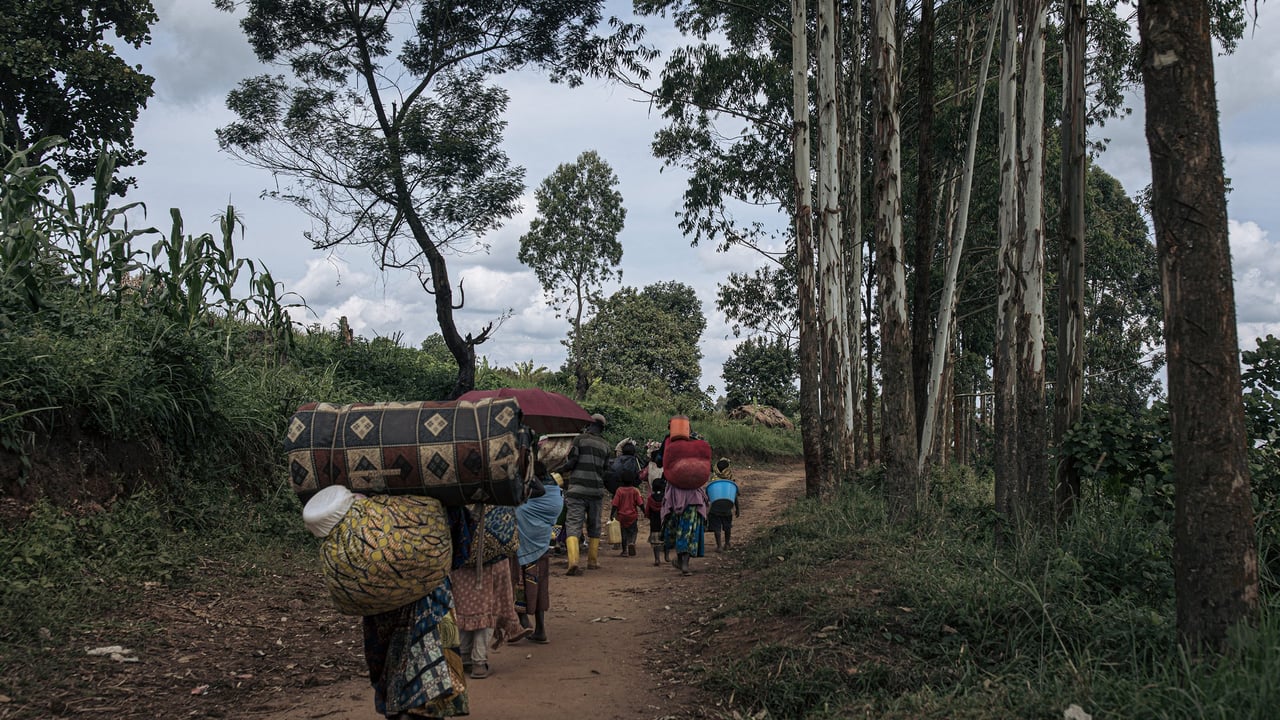M23 en RDC : la « trêve humanitaire » prolongée de 15 jours